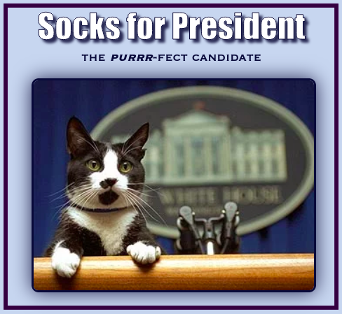 image of sox campaign page